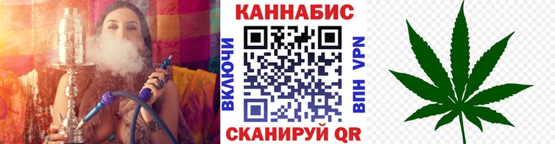 Каннабис OG Kush Удомля